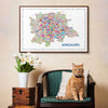Framed map of Bangalore above a cat sitting on a chair with flowers and a wooden box.