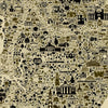 Close-up detail of the Iconic Staten Island Antique Edition showing hundreds of hand-drawn illustrations, neighborhoods, landmarks, architecture and local icons across Staten Island.